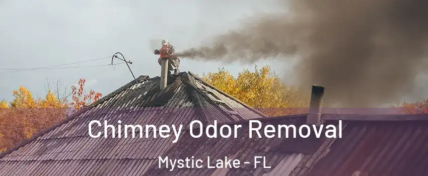 Chimney Odor Removal Mystic Lake - FL