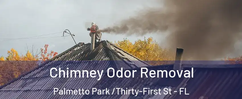 Chimney Odor Removal Palmetto Park /Thirty-First St - FL