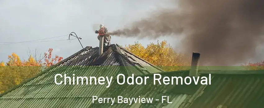 Chimney Odor Removal Perry Bayview - FL