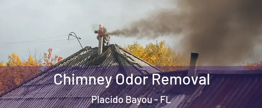 Chimney Odor Removal Placido Bayou - FL