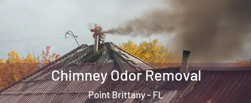 Chimney Odor Removal Point Brittany - FL