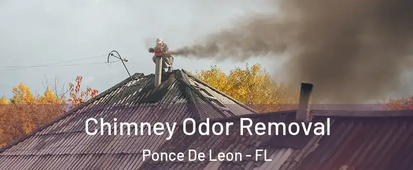Chimney Odor Removal Ponce De Leon - FL