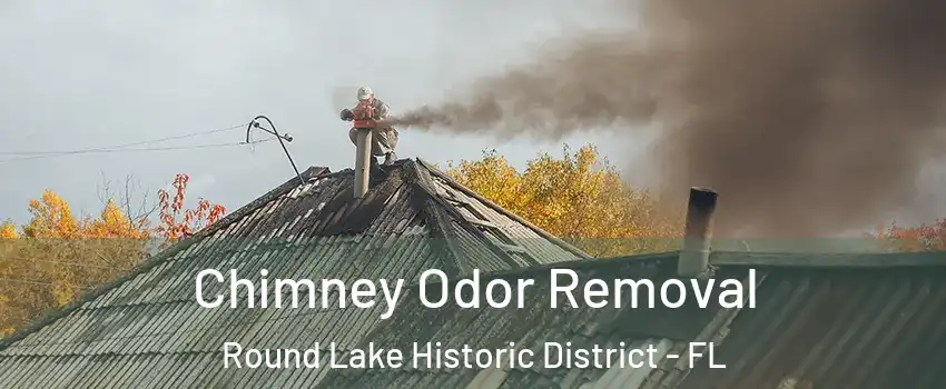 Chimney Odor Removal Round Lake Historic District - FL