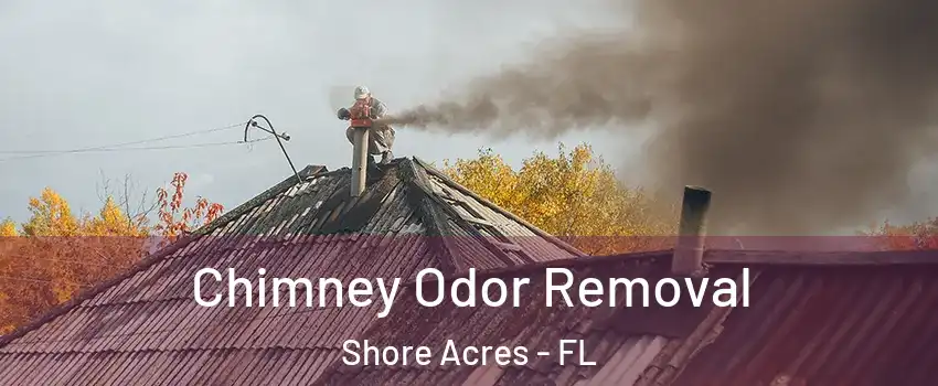 Chimney Odor Removal Shore Acres - FL