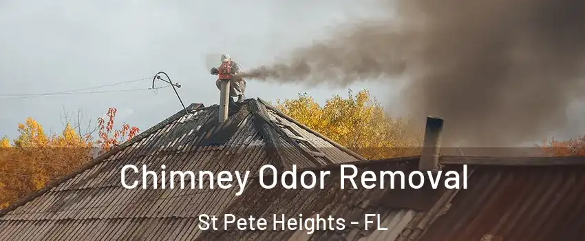 Chimney Odor Removal St Pete Heights - FL