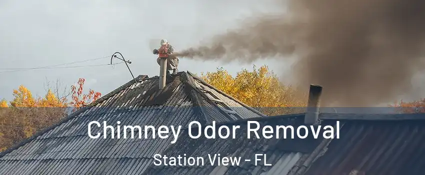 Chimney Odor Removal Station View - FL