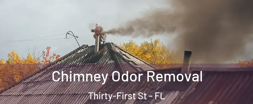 Chimney Odor Removal Thirty-First St - FL