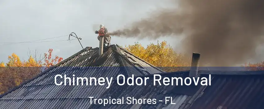 Chimney Odor Removal Tropical Shores - FL