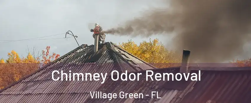 Chimney Odor Removal Village Green - FL