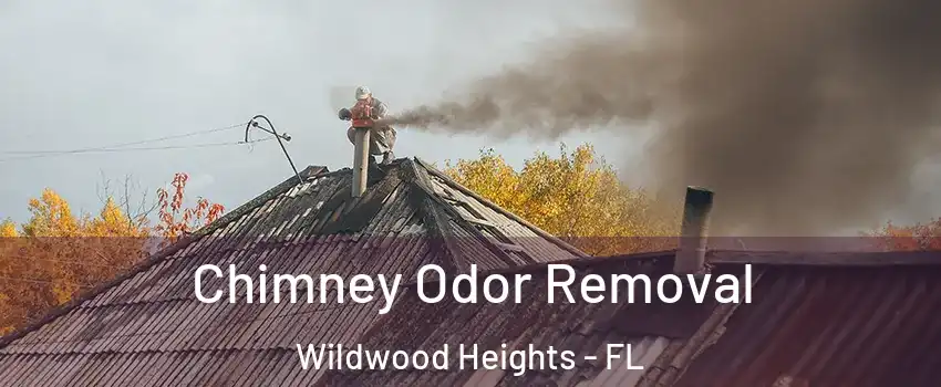 Chimney Odor Removal Wildwood Heights - FL