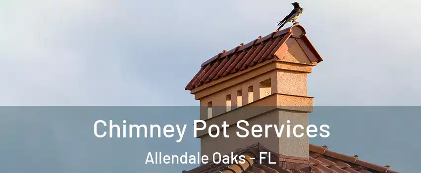 Chimney Pot Services Allendale Oaks - FL