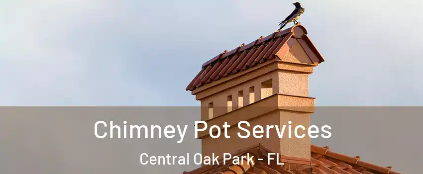 Chimney Pot Services Central Oak Park - FL