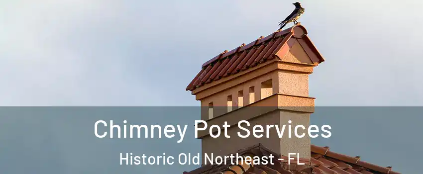 Chimney Pot Services Historic Old Northeast - FL