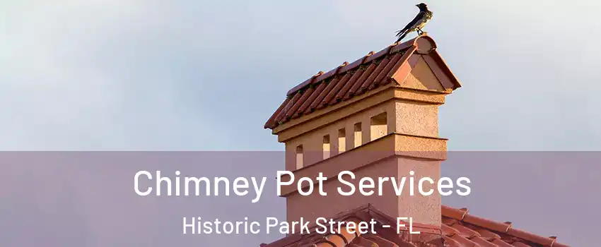 Chimney Pot Services Historic Park Street - FL