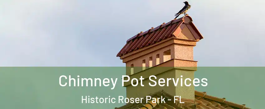 Chimney Pot Services Historic Roser Park - FL