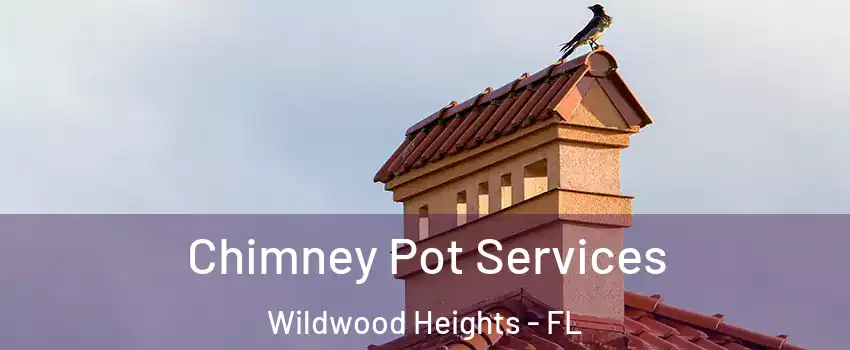 Chimney Pot Services Wildwood Heights - FL