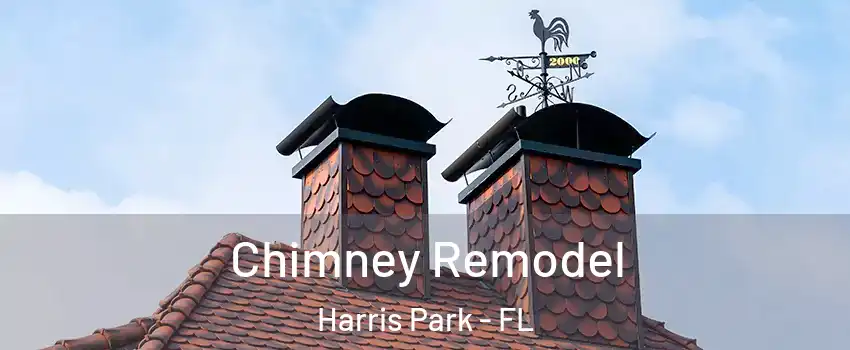 Chimney Remodel Harris Park - FL