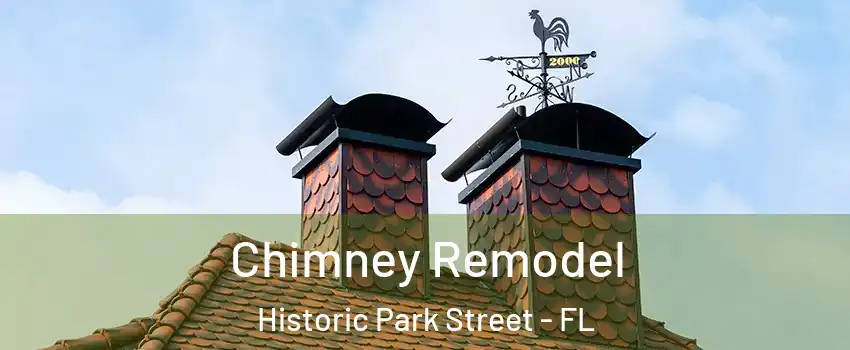 Chimney Remodel Historic Park Street - FL