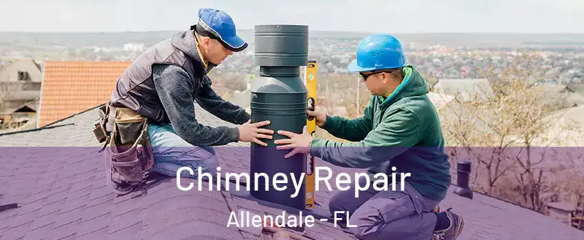 Chimney Repair Allendale - FL