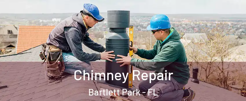Chimney Repair Bartlett Park - FL