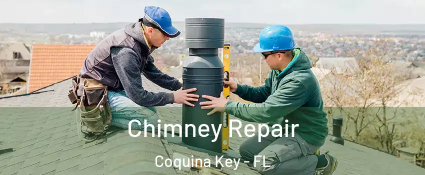 Chimney Repair Coquina Key - FL