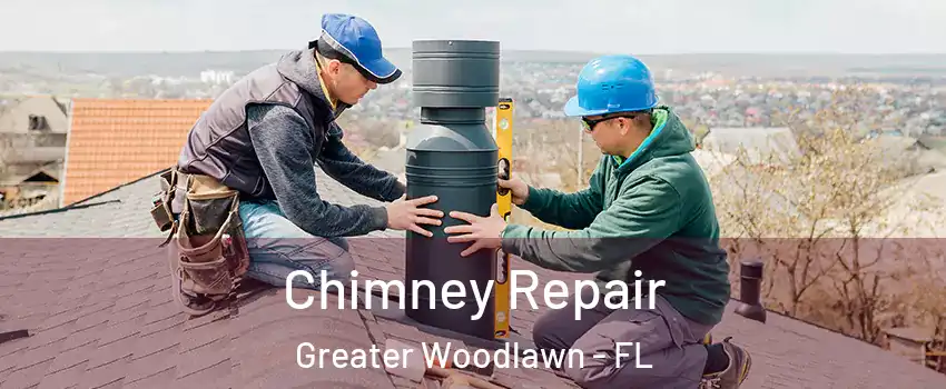 Chimney Repair Greater Woodlawn - FL