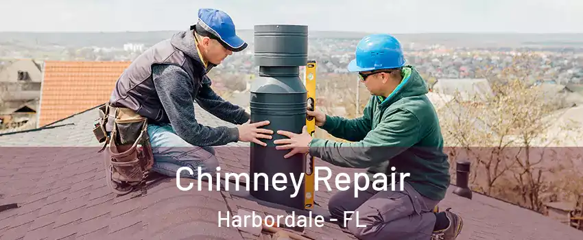 Chimney Repair Harbordale - FL