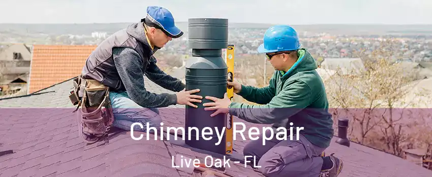 Chimney Repair Live Oak - FL