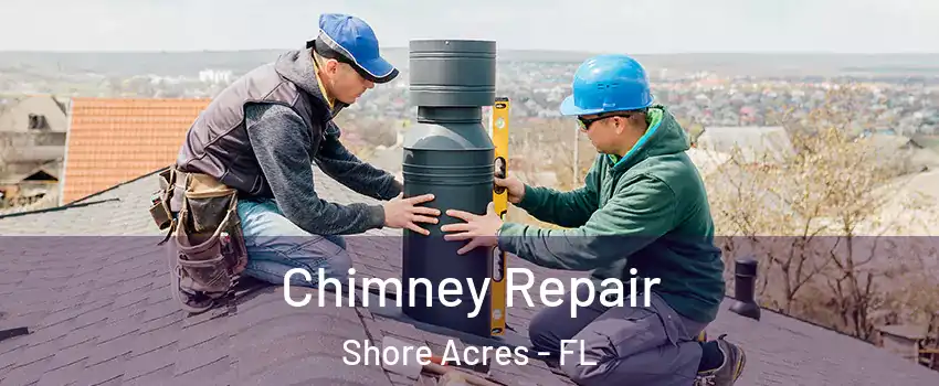 Chimney Repair Shore Acres - FL