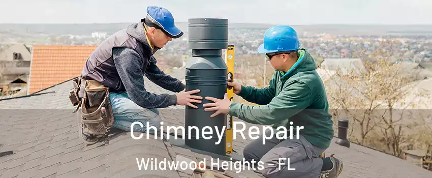 Chimney Repair Wildwood Heights - FL