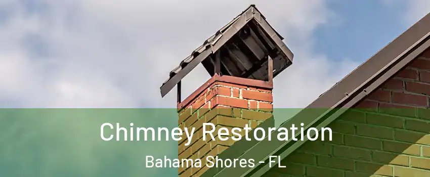 Chimney Restoration Bahama Shores - FL