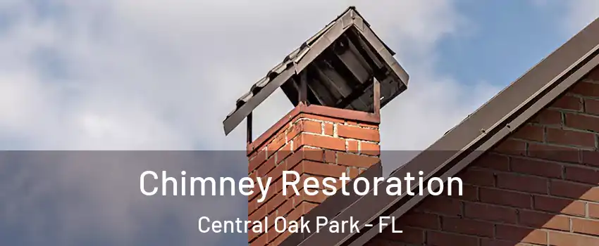 Chimney Restoration Central Oak Park - FL