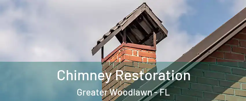 Chimney Restoration Greater Woodlawn - FL