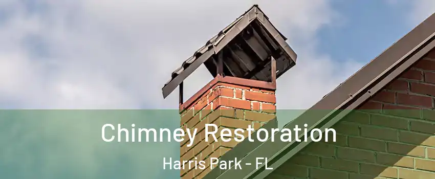 Chimney Restoration Harris Park - FL