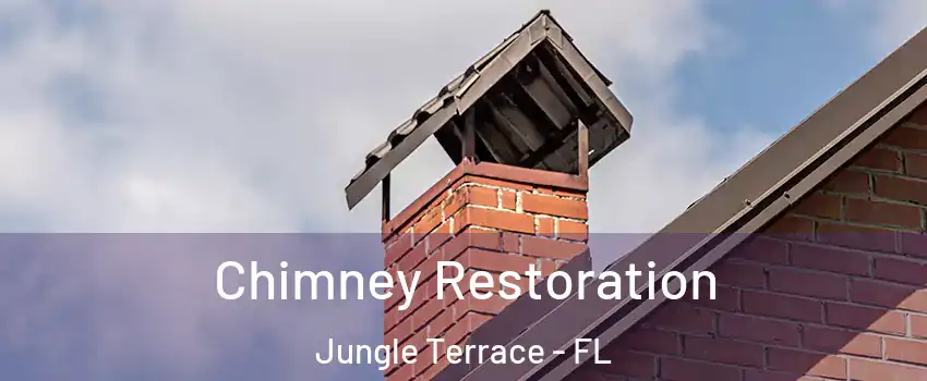 Chimney Restoration Jungle Terrace - FL