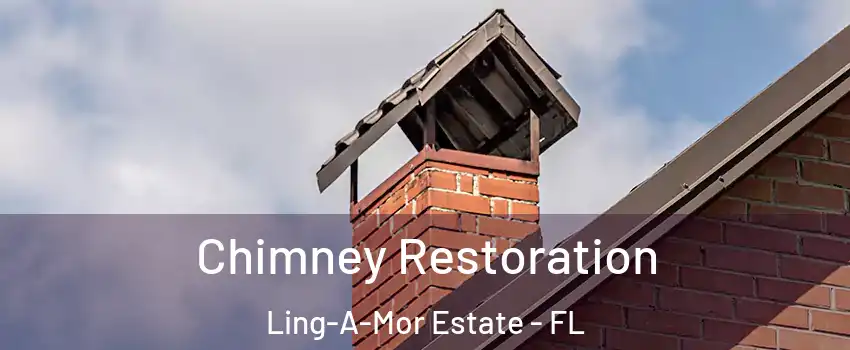 Chimney Restoration Ling-A-Mor Estate - FL