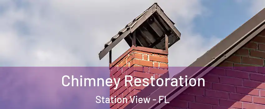 Chimney Restoration Station View - FL