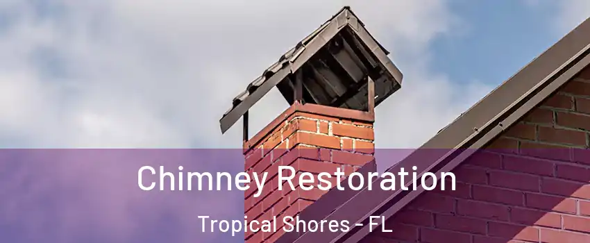 Chimney Restoration Tropical Shores - FL