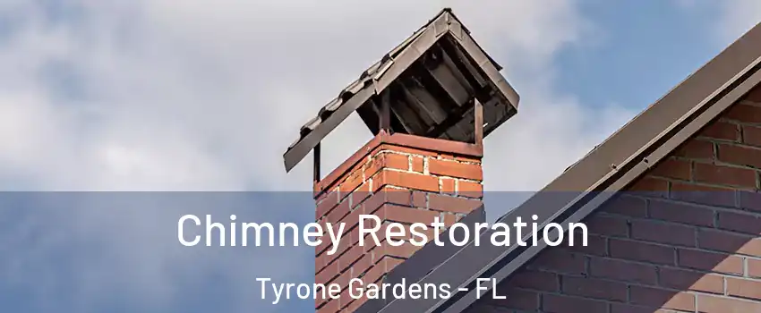 Chimney Restoration Tyrone Gardens - FL