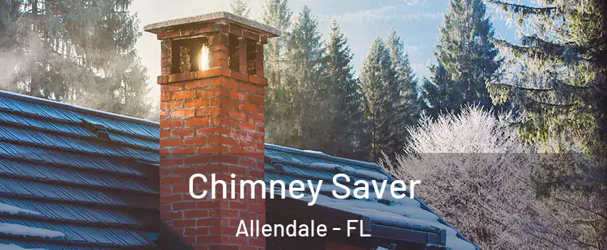 Chimney Saver Allendale - FL