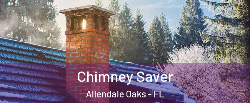 Chimney Saver Allendale Oaks - FL
