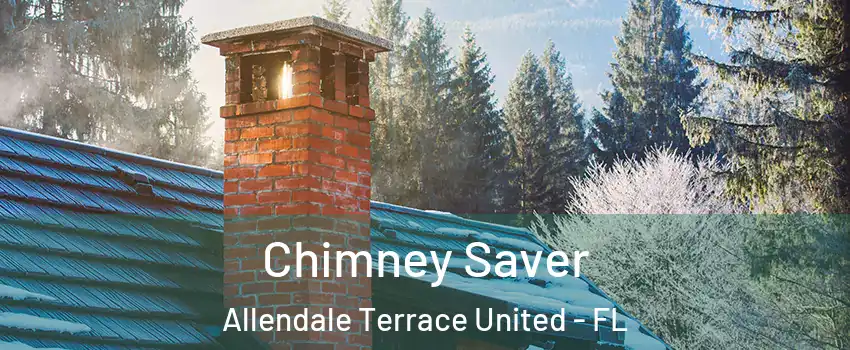 Chimney Saver Allendale Terrace United - FL