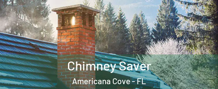 Chimney Saver Americana Cove - FL