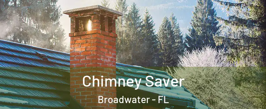 Chimney Saver Broadwater - FL