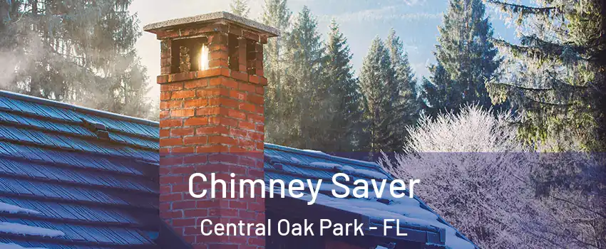 Chimney Saver Central Oak Park - FL
