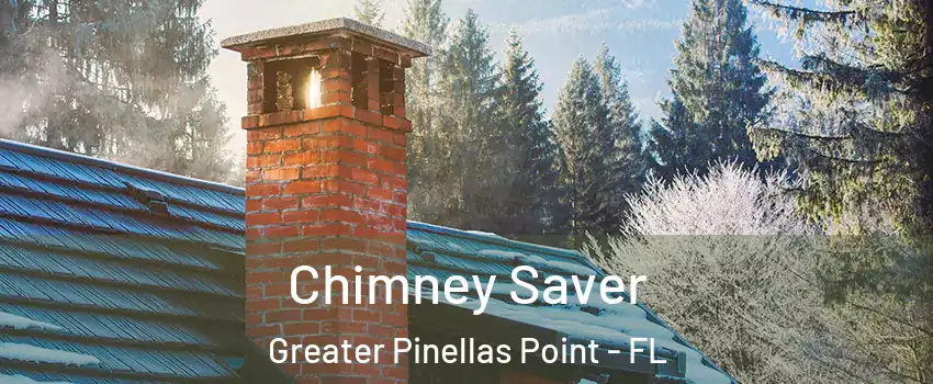 Chimney Saver Greater Pinellas Point - FL