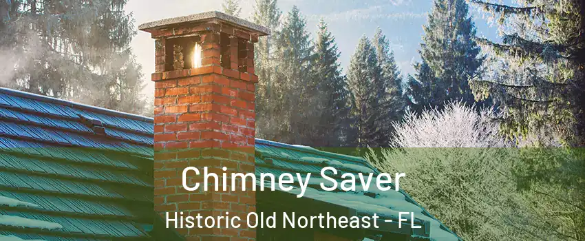 Chimney Saver Historic Old Northeast - FL