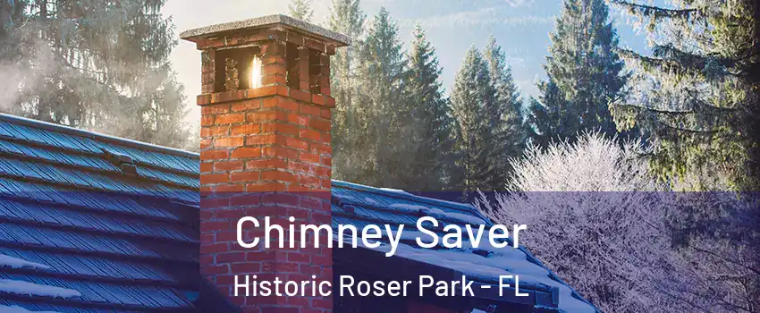 Chimney Saver Historic Roser Park - FL