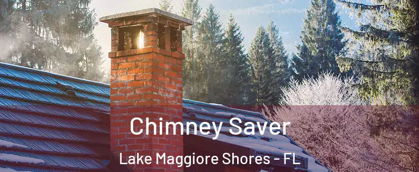 Chimney Saver Lake Maggiore Shores - FL