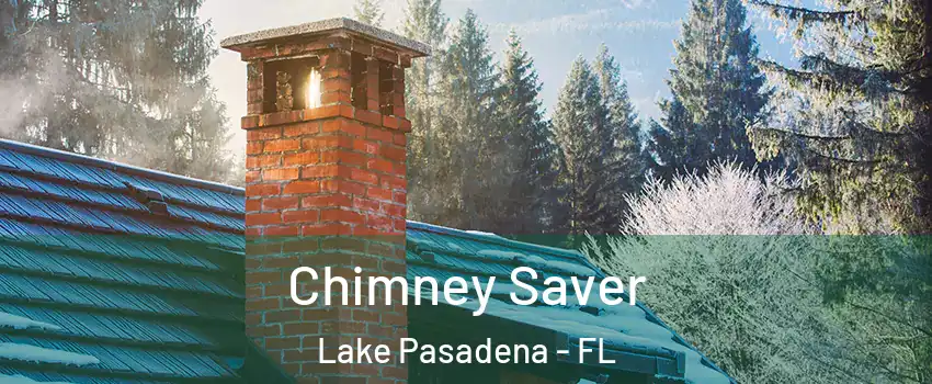 Chimney Saver Lake Pasadena - FL